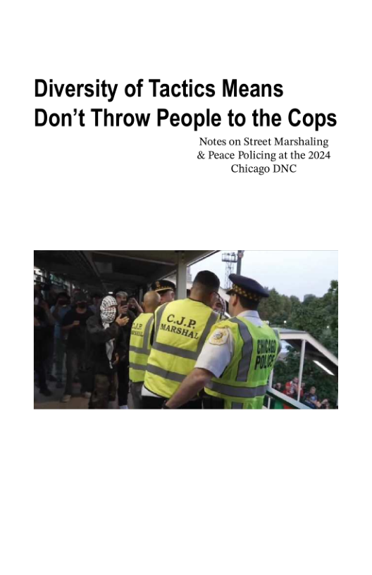 Diversity of Tactics Means Don’t Throw People to the Cops  Notes on Street Marshaling & Peace Policing at the 2024 Chicago DNC  
